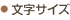文字サイズ
